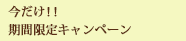 今だけ！！ 期間限定キャンペーン